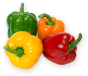 Diy Store 4 Different Varieties Capsicum Seeds (0050)