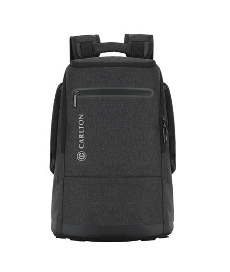 Carlton Newport Business Laptop Backpack Gray