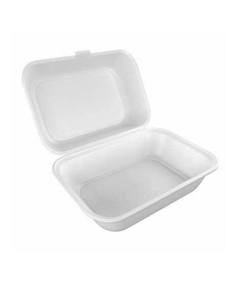 Diyan-e-Store Disposable Food Box Large Pack Of 20