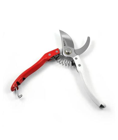 ShopEasy Incisive Garden Scissors Clippers