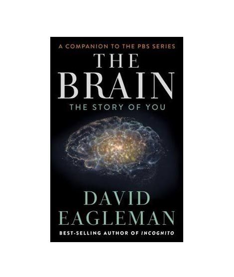 The Brain The Story Of You Book