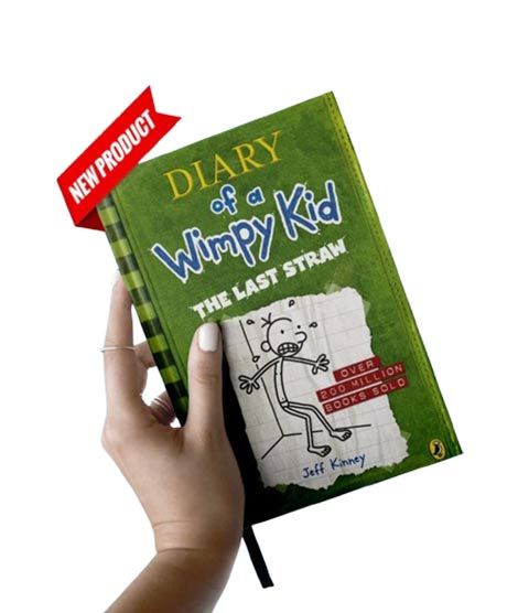 Diary Of A Wimpy Kid 3 Book