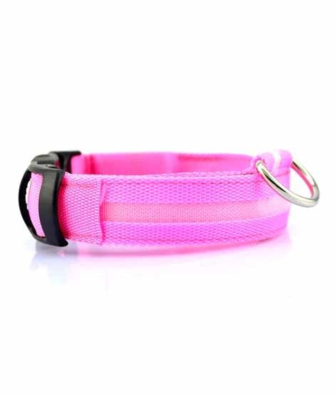 iShopping - Eizy Buy LED Dog Luminous Nylon Collar