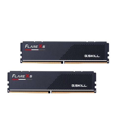 G.Skill Flare X5 32GB DDR5 6000MHz Desktop Memory (F5-6000J3636F16GX2-FX5)