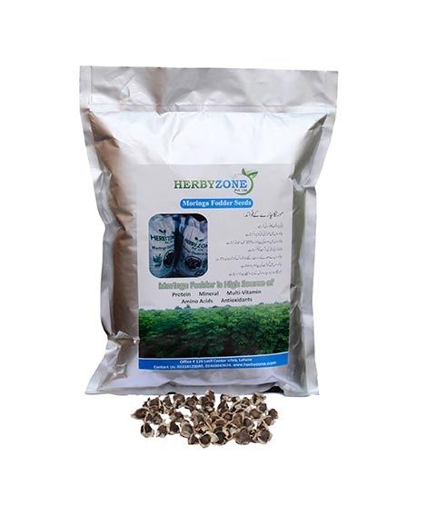 Herbyzone Moringa Fodder Seeds