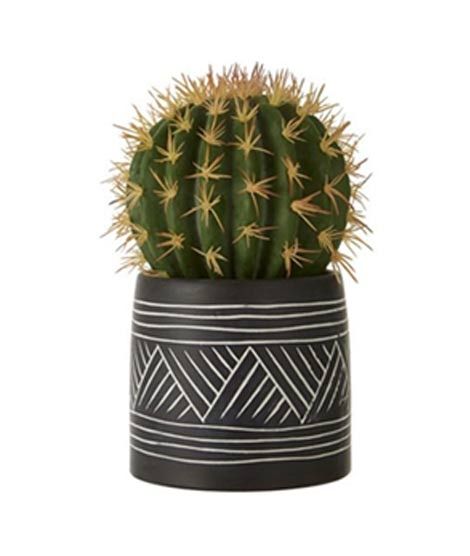 Premier Home Fiori Cactus Succulent (2907054)