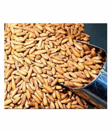 Khan Dry Fruits Chilgoza Pine Nuts 1kg