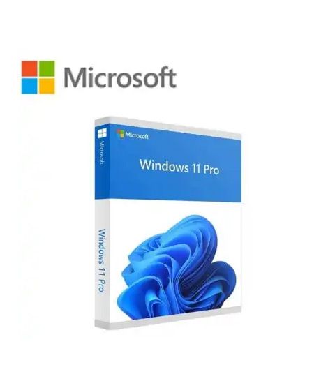 iShopping - Microsoft Windows 11 Professional 64-Bit Eng Intl 1Pk Dsp Oem DVD