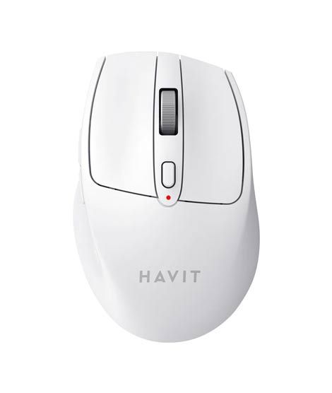 Havit Wireless Mouse (MS61WB)