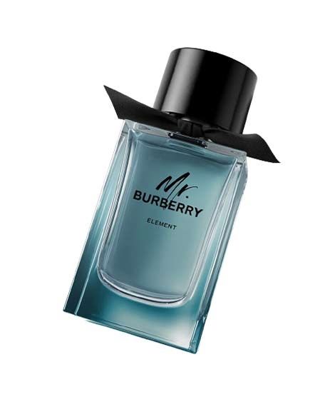 Burberry Mr. Burberry Element Eau De Toilette For Men 150ml