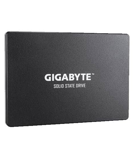 Gigabyte 256GB Solid State Drive (GP-GSTFS31256GTND)