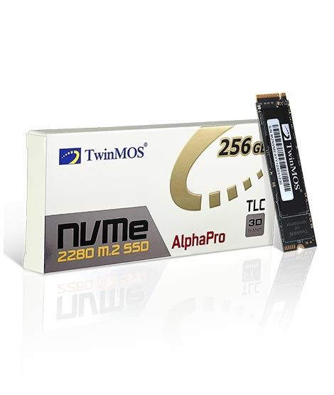 TwinMOS 256GB NVMe M.2 2280 Solid State Drive (NVMeEGBM280)