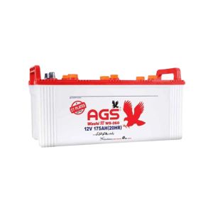 AGS Washi 175Ah 12V Battery (WS-260)