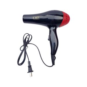 Electrorignal Professional Hair Dryer Black (0014)