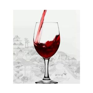 Easy Shop 6 Pcs Beautiful Wine Glasses (1284)