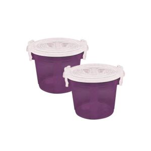 Appollo Handy Food Storage Container Small (Pack Of 2)-Purple