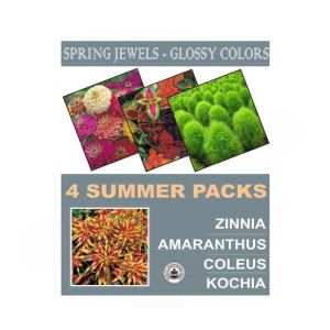 DIY Store Summer Flower Seeds Pack of 4 (0042)