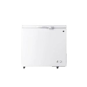 PEL Arctic Inverter Deep Freezer (PDIN 70-100)