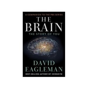 The Brain The Story Of You Book