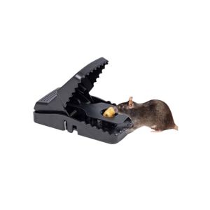 Genshirts Mouse Catcher Rat Trap