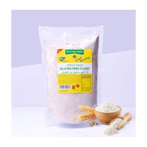 Eco Gobal Eco Whole Grain Gluten Flour - 700gm