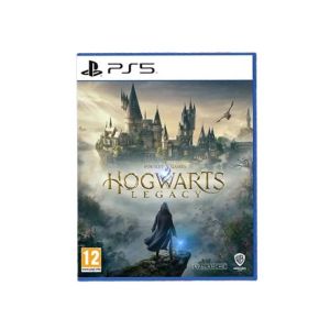 Hogwarts Legacy DVD Game For PS5