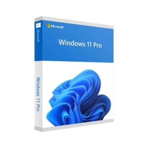 Microsoft Windows 11 Professional 64 Bit (Key Only)