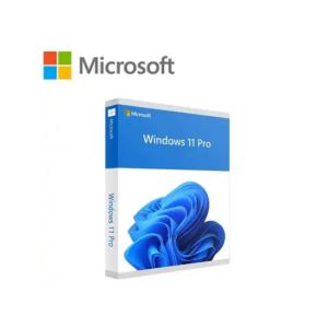 Microsoft Windows 11 Professional 64-Bit Eng Intl 1Pk Dsp Oem DVD