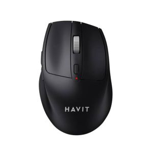 Havit Wireless Mouse (MS61WB)-Black