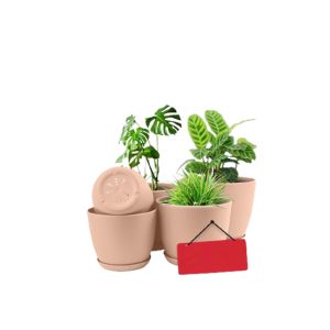 Araaish Decorative Flower Pots  With Drainage Without Plants - Pack Of 5-Peach