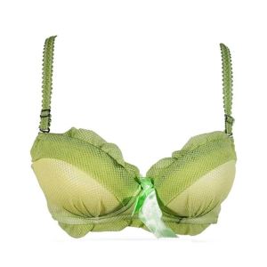 Purple Bag Fancy Lace Soft Double Padded Wireless Pushup Bra Green (0014)