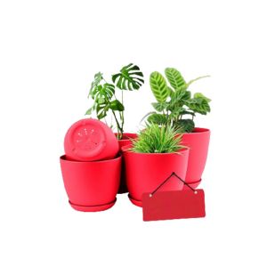 Araaish Decorative Flower Pots  With Drainage Without Plants - Pack Of 5-Red