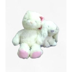 ZT Fashions Stuffed Bear Set of 2