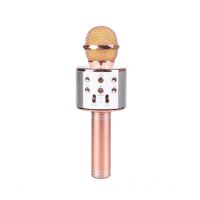 ApkaStore Wireless Bluetooth Karaoke Microphone Mic Speaker Gold