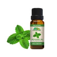 Chiltan Pure Peppermint Oil 20ml