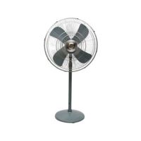 Super Asia Delta 24” Pedestal Fan