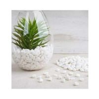 Aquatic Aquarium 1Kg Quartz Stones Small Size White