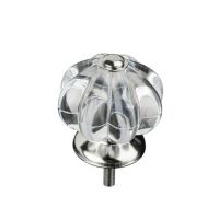 Premier Home Victorian Style Acrylic Drawer Knobs (2490020)