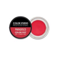 Color Studio Paradisco Pot Lip & Cheek Tint