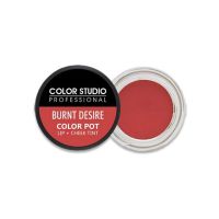 Color Studio Burnt Desire Pot Lip & Cheek Tint