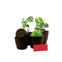 Araaish Decorative Flower Pots  With Drainage Without Plants - Pack Of 5-Brown