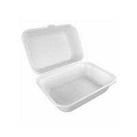 Diyan-e-Store Disposable Food Box Large Pack Of 20