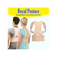 ShopEasy Royal Posture Support Belt