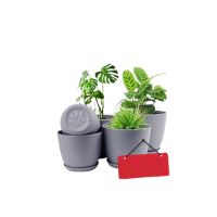 Araaish Decorative Flower Pots  With Drainage Without Plants - Pack Of 5-Grey