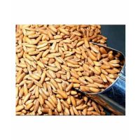 Khan Dry Fruits Chilgoza Pine Nuts 1kg