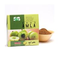 Saeed Ghani Khas Amla Powder 100G