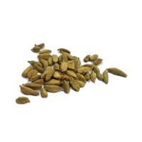 Madina Traders Green Fresh Cardamom (Elaichi) - 100gm