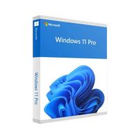 Microsoft Windows 11 Professional 64 Bit (Key Only)