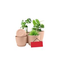 Araaish Decorative Flower Pots  With Drainage Without Plants - Pack Of 5-Peach