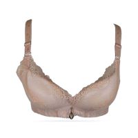 Purple Bag Fancy Net Lace Soft Double Padded Wireless Bra Pink (0009)